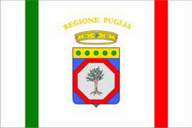 Legge espianto ulivi: parte la petizione e c'� il sogno referendum abrogativo